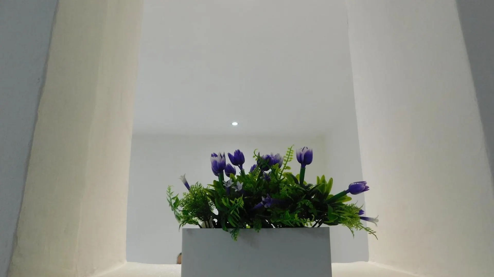 La Casa Fiorentina Apartment Florence
